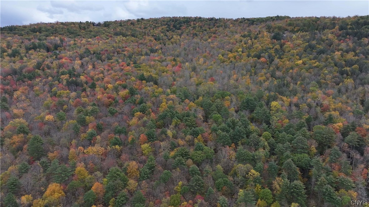 L1 Huntley Hollow Road Delancey, NY 13752 - Photo 15 of 20