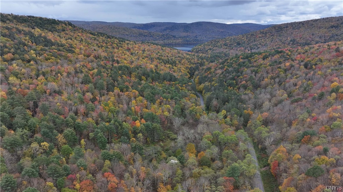 L1 Huntley Hollow Road Delancey, NY 13752 - Photo 16 of 20