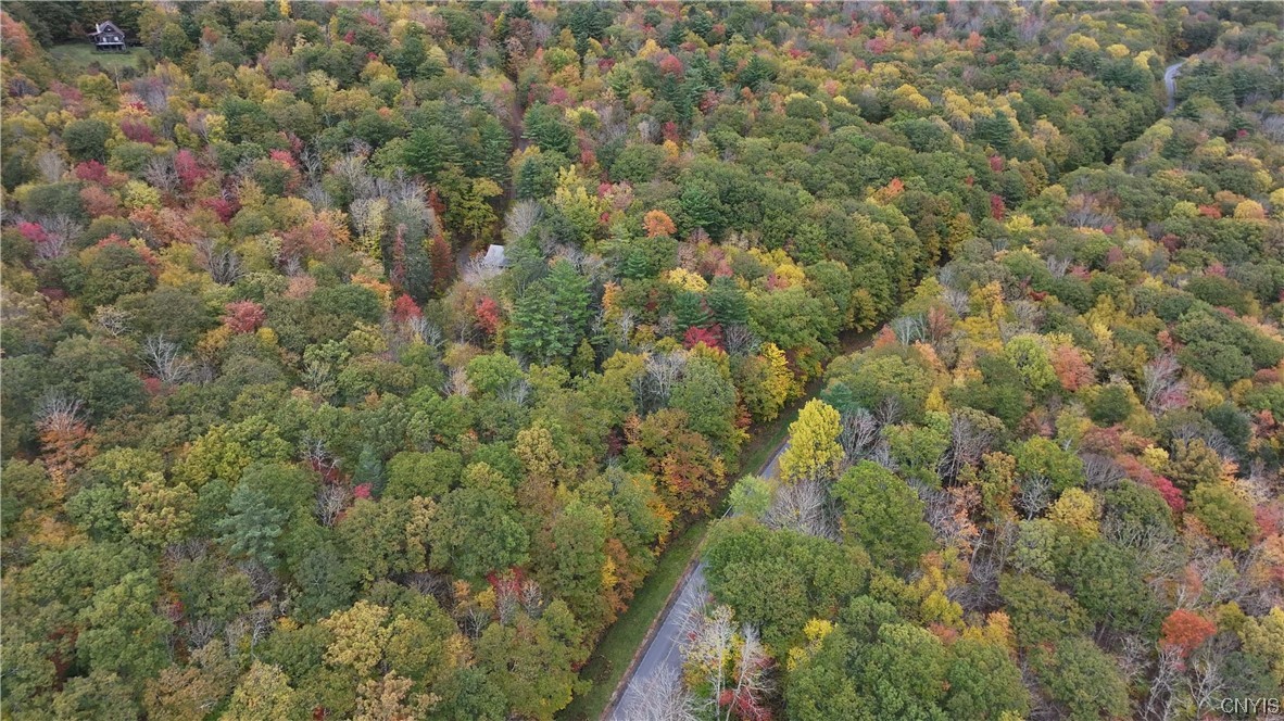 L1 Huntley Hollow Road Delancey, NY 13752 - Photo 17 of 20