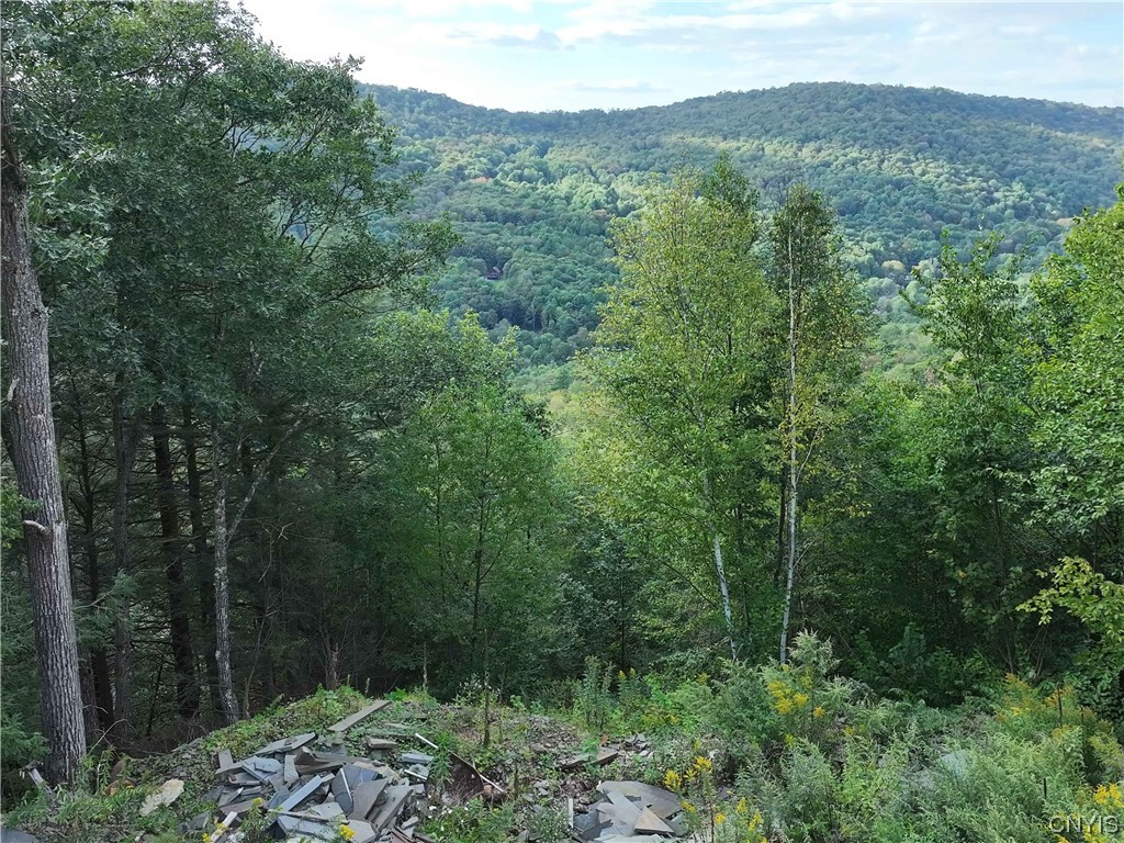 L1 Huntley Hollow Road Delancey, NY 13752 - Photo 18 of 20