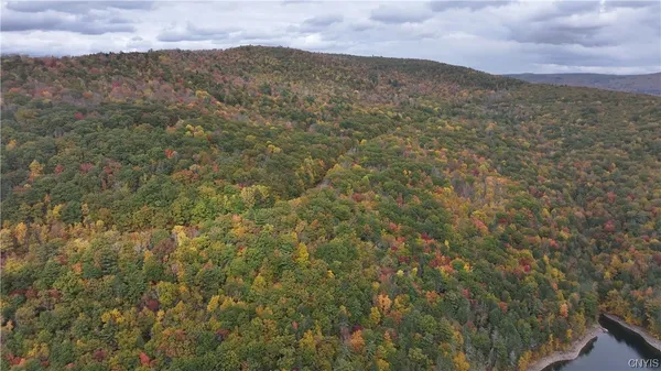 $750,000 | L1 Huntley Hollow Road, Delancey, NY 13752