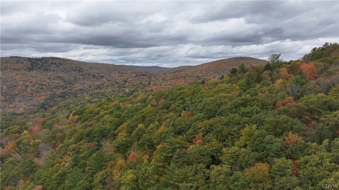 L1 Huntley Hollow Road Delancey, NY 13752 - Photo 10 of 20