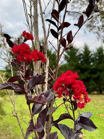 $499,000 | 227 Reep Drive, Morganton, NC 28655