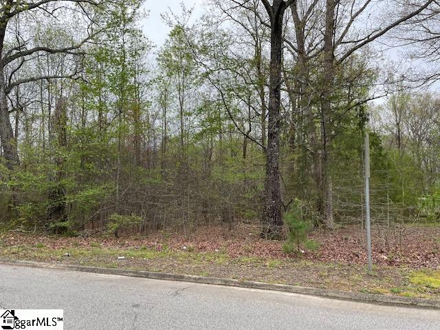 7774 Augusta Road Piedmont, SC 29673 - Photo 5 of 13