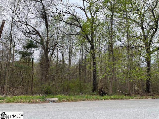 7774 Augusta Road Piedmont, SC 29673 - Photo 6 of 13