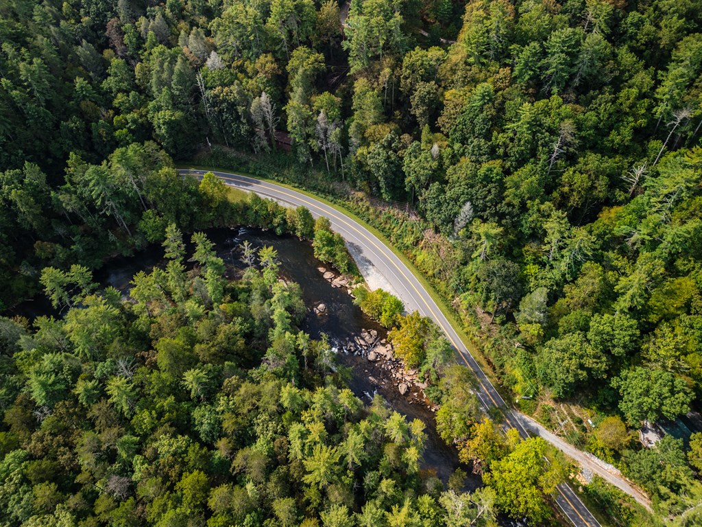 283 River Bend Lane Blue Ridge, GA 30513 - Photo 29 of 33 a view of a lush green forest with lawn chairs