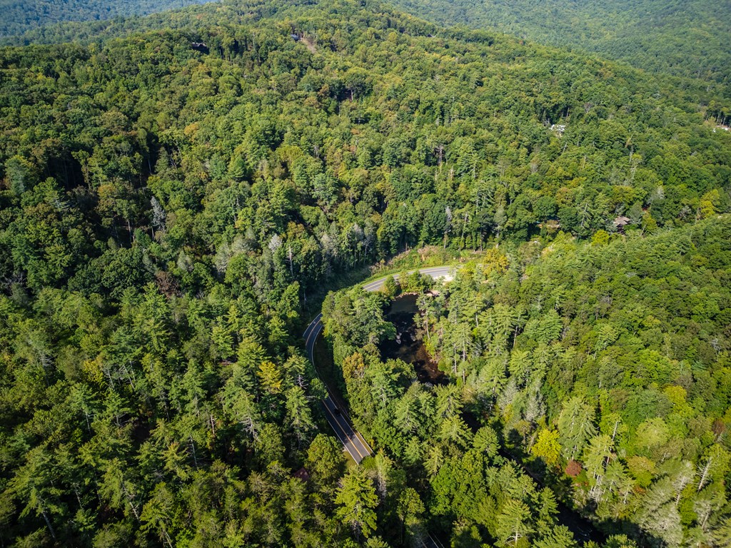 283 River Bend Lane Blue Ridge, GA 30513 - Photo 31 of 33 a view of a large yard with lots of green space