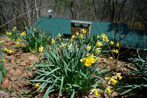 $375,000 | 283 River Bend Lane, Blue Ridge, GA 30513