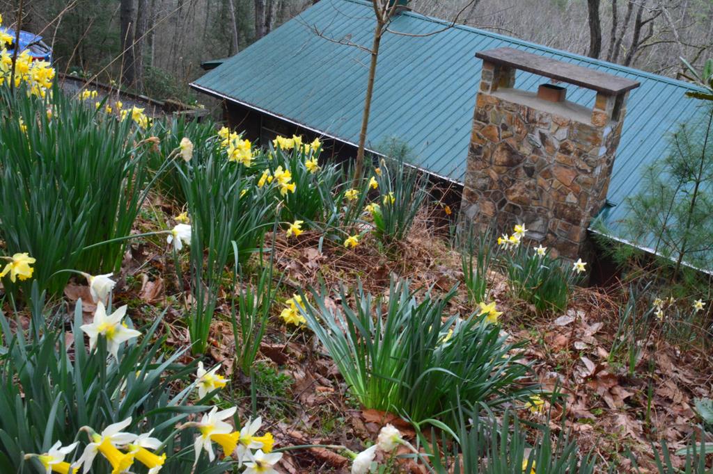 283 River Bend Lane Blue Ridge, GA 30513 - Photo 33 of 33 a backyard of a house