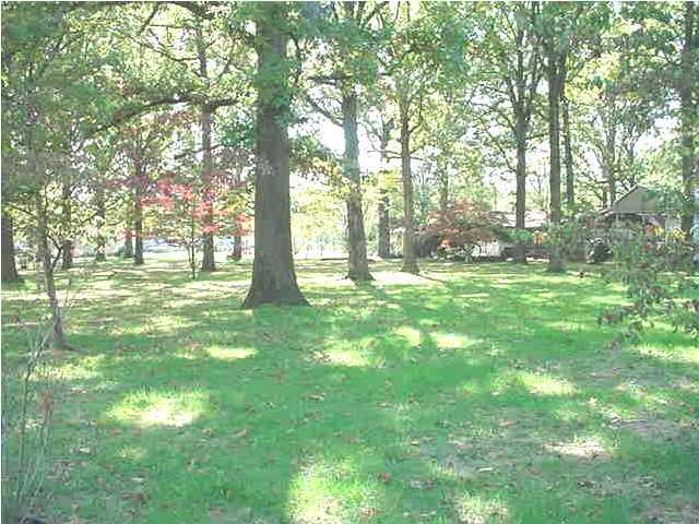 713 Graysville Road Chattanooga, TN 37421 - Photo 3 of 7 Additional Photo