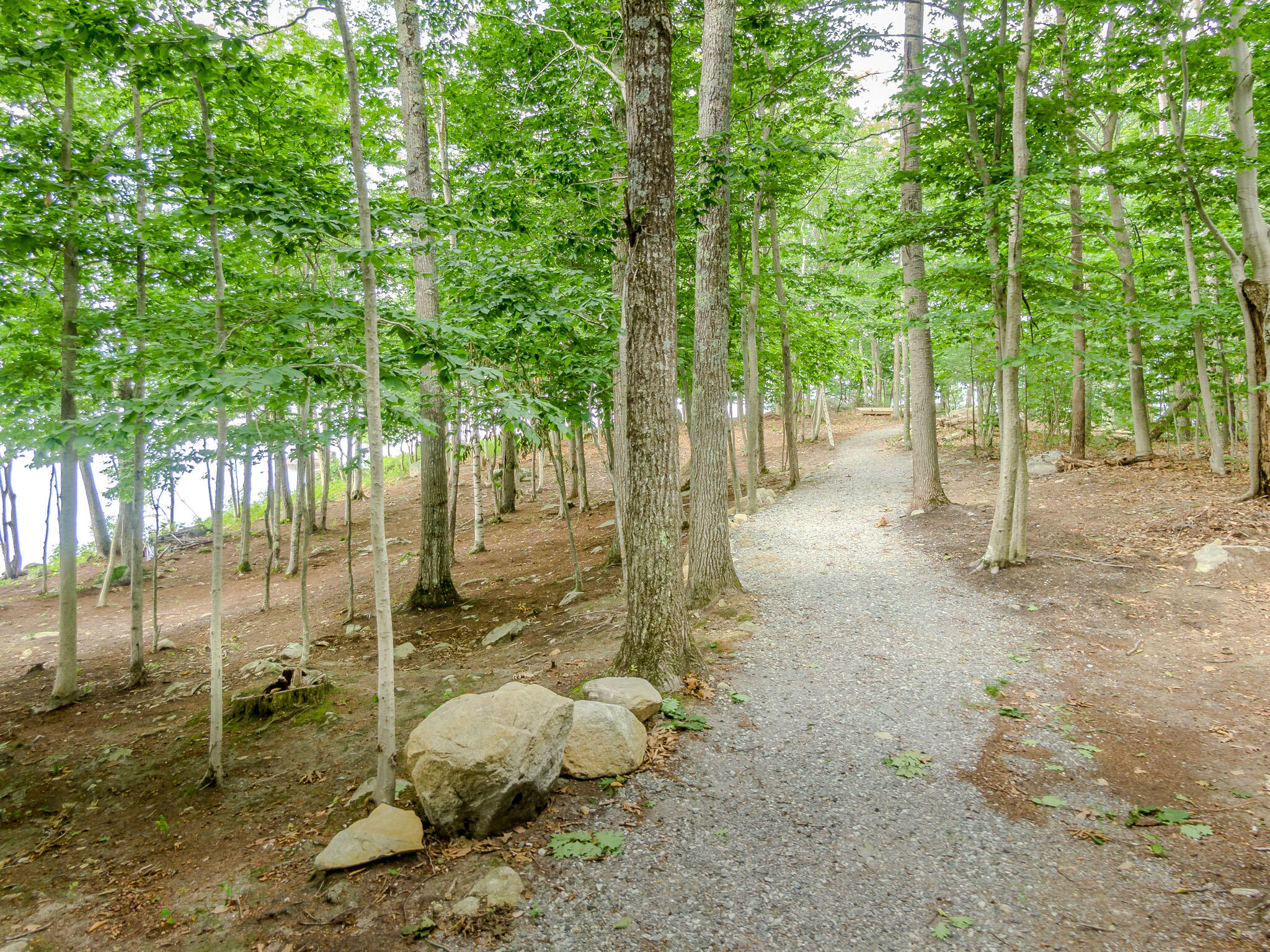 25 Emerald Point Drive Frye Island, ME 04084 - Photo 5 of 9 Martin-2407-0821