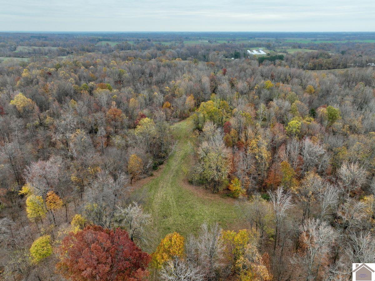 0 Beech Grove Road Hickman, KY 42050 - Photo 5 of 35 Photo 5