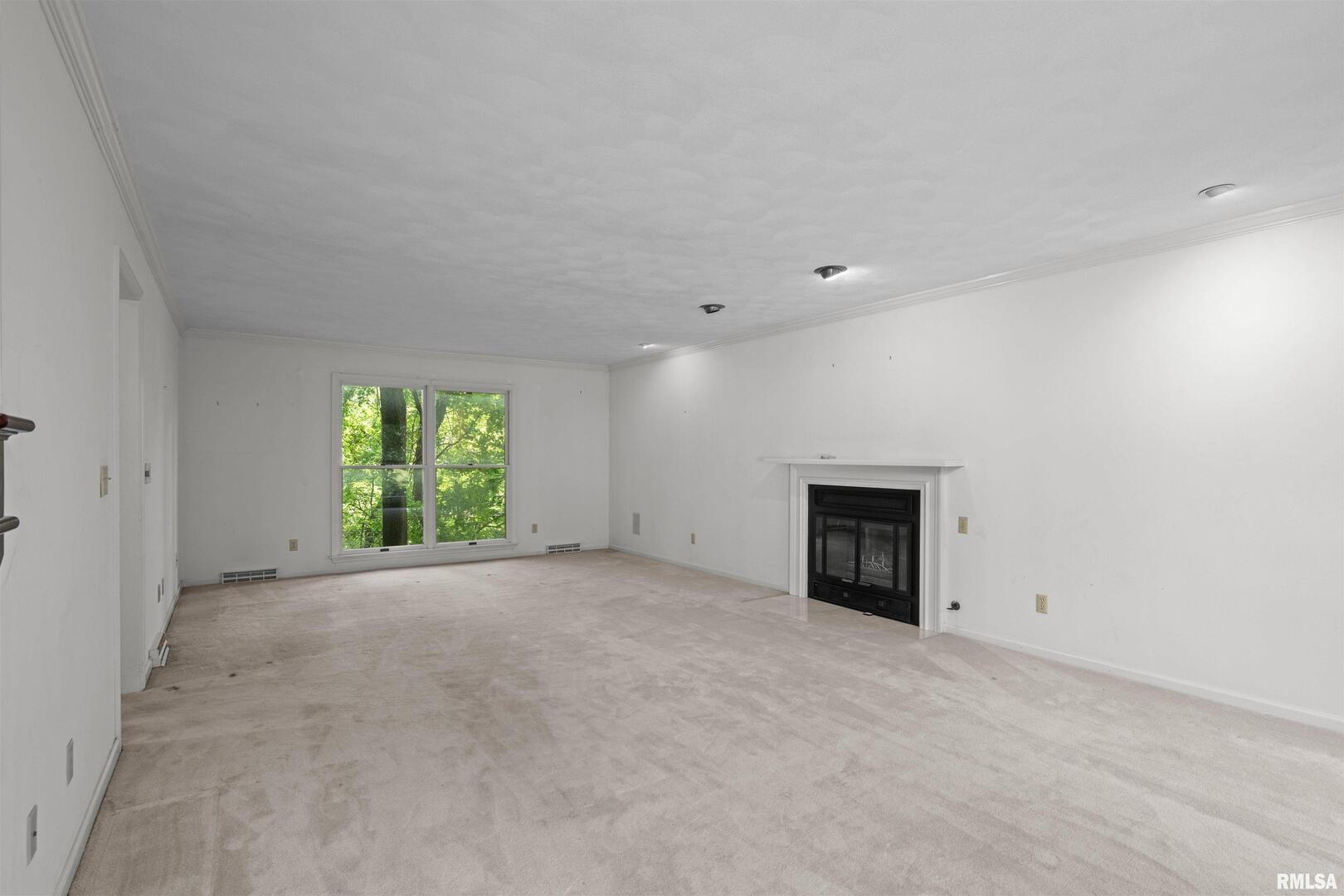 5 White Oak Court Moline, IL 61265 - Photo 8 of 57 a view of empty room with windows and fireplace