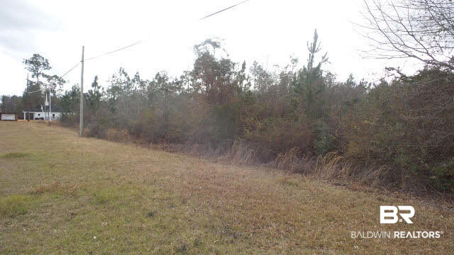 0 Highway 113 Brewton, AL 36426 - Photo 2 of 13