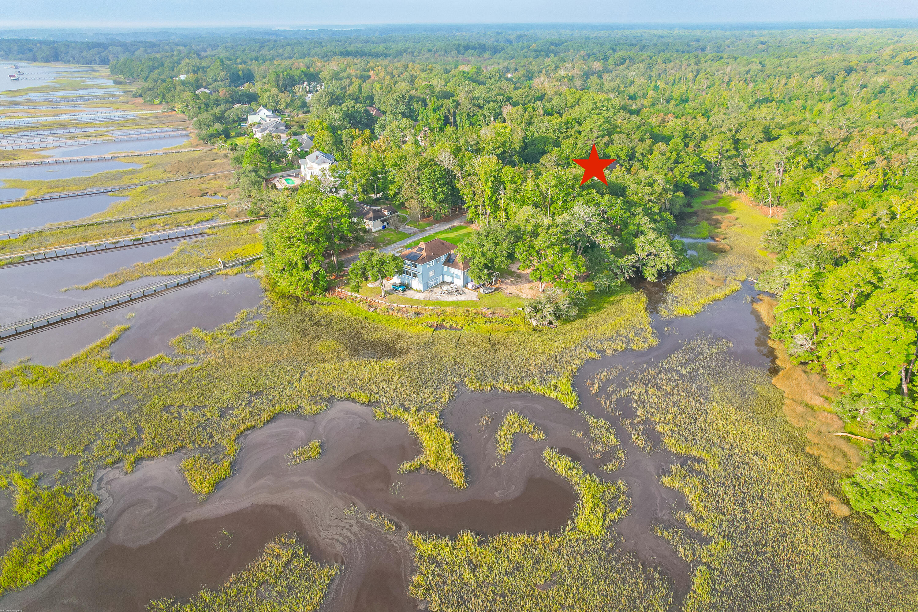 4154 Jean Laffite Road Hollywood, SC 29449 - Photo 6 of 60 Stono River Access