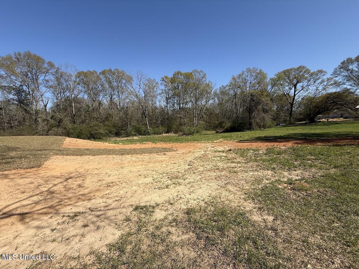 432 Restertown Road Poplarville, MS 39470 - Photo 23 of 26 Backyard