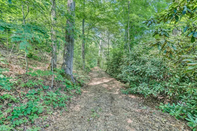 $2,900,000 | 2446 Deer Run Road, Ferrum, VA 24088