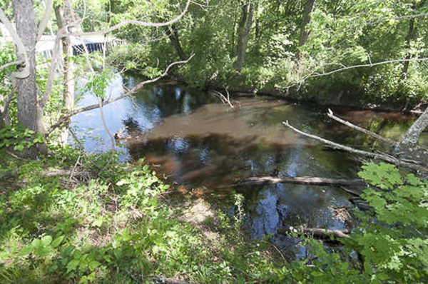 4 Shaw Street Medway, MA 02053 - Photo 23 of 25 a view of outdoor space and street view