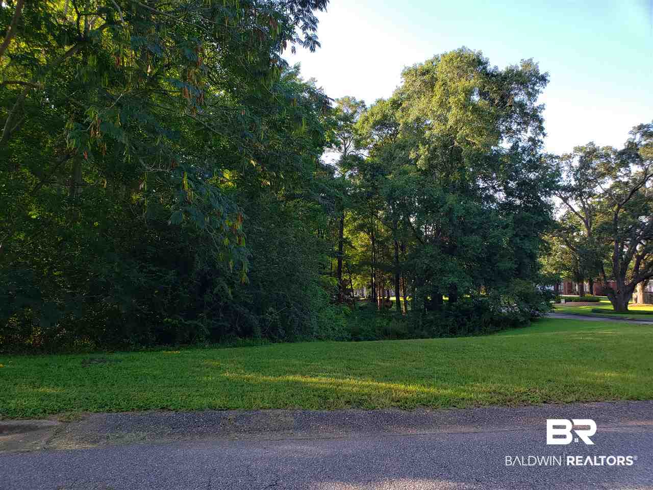 0 South Dawes Lake Road Mobile, AL 36695 - Photo 2 of 4