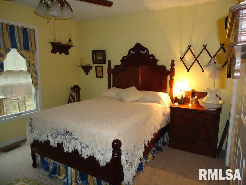 407 Logan Run Road Murphysboro, IL 62966 - Photo 7 of 18