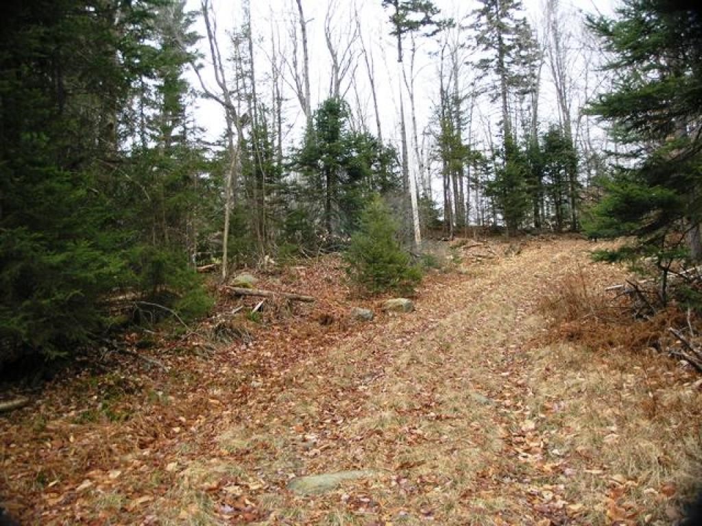 34 Beech Ridge Road Grantham, NH 03753 - Photo 1 of 9