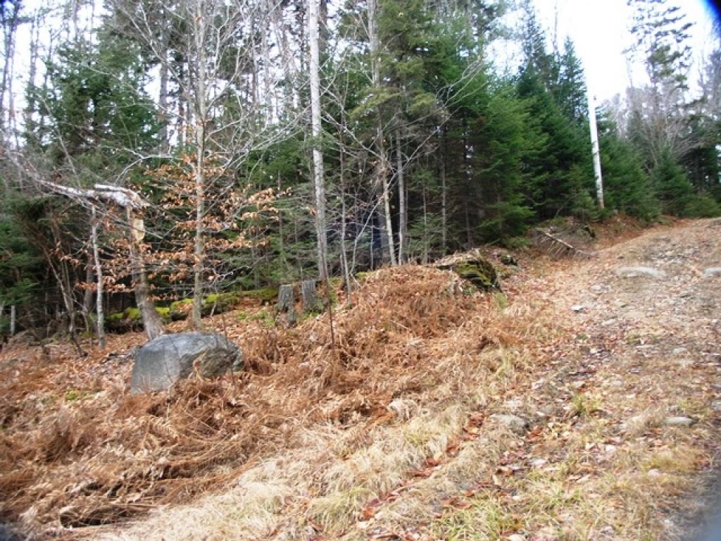 34 Beech Ridge Road Grantham, NH 03753 - Photo 3 of 9