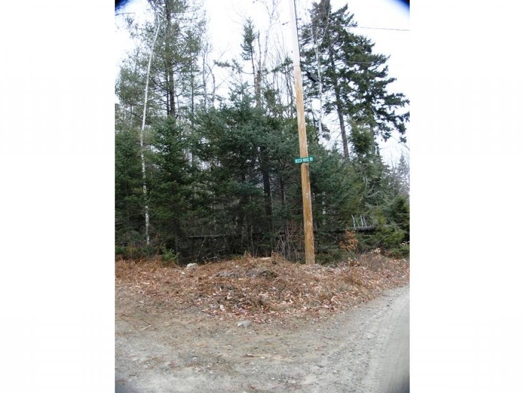 34 Beech Ridge Road Grantham, NH 03753 - Photo 4 of 9