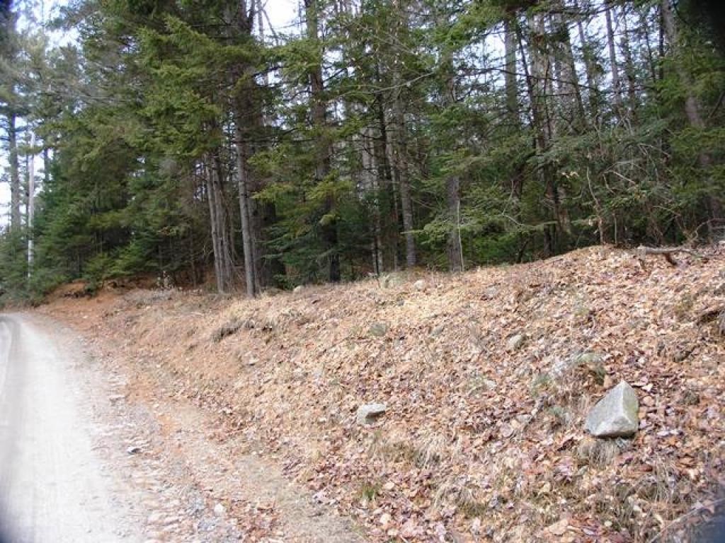 34 Beech Ridge Road Grantham, NH 03753 - Photo 7 of 9
