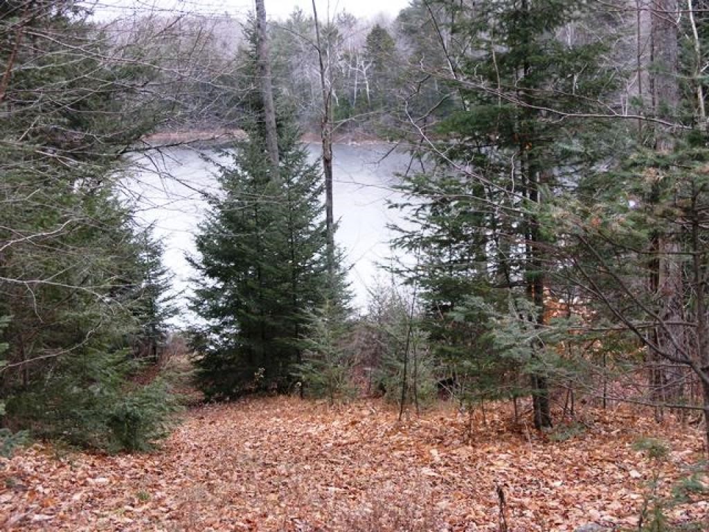 34 Beech Ridge Road Grantham, NH 03753 - Photo 8 of 9