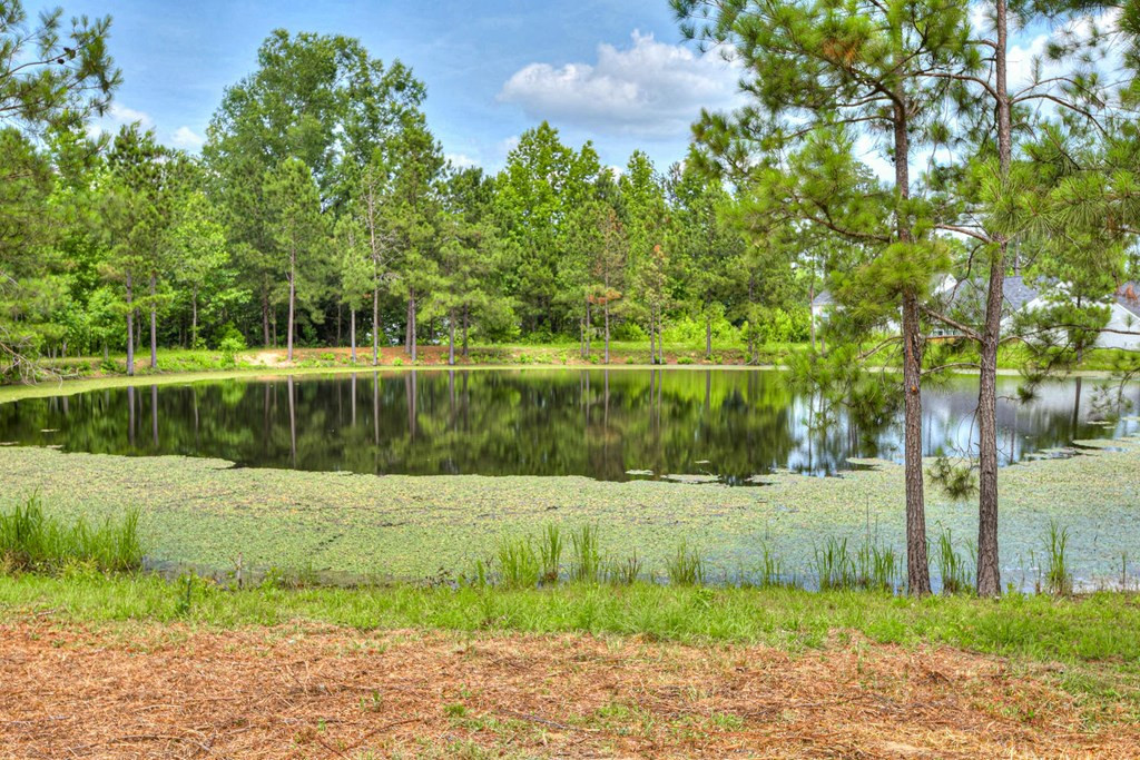 200 Swinton Pond Road Grovetown, GA 30813 - Photo 44 of 47