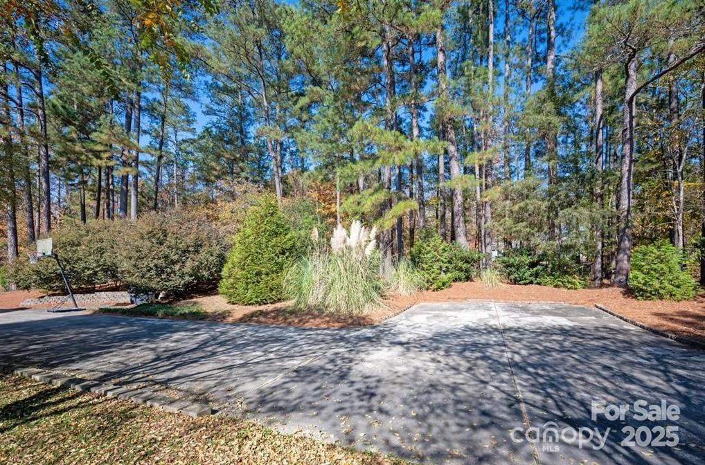 3424 Red Fox Trail Matthews, NC 28104 - Photo 6 of 22