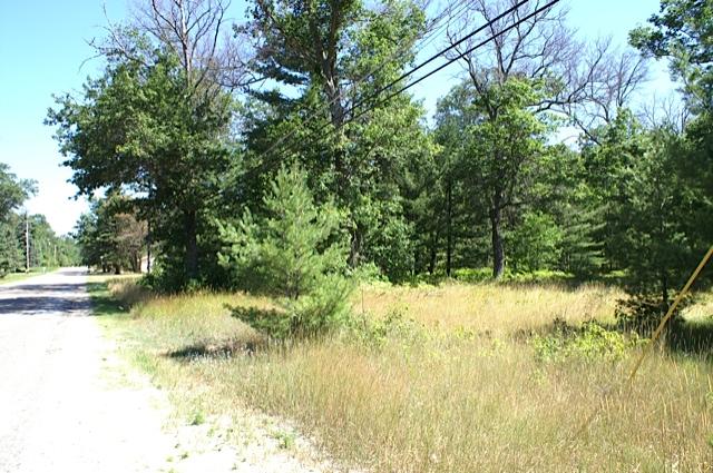 Ole Dam Road Grayling, MI 49738 - Photo 4 of 5 Gallery Image 4