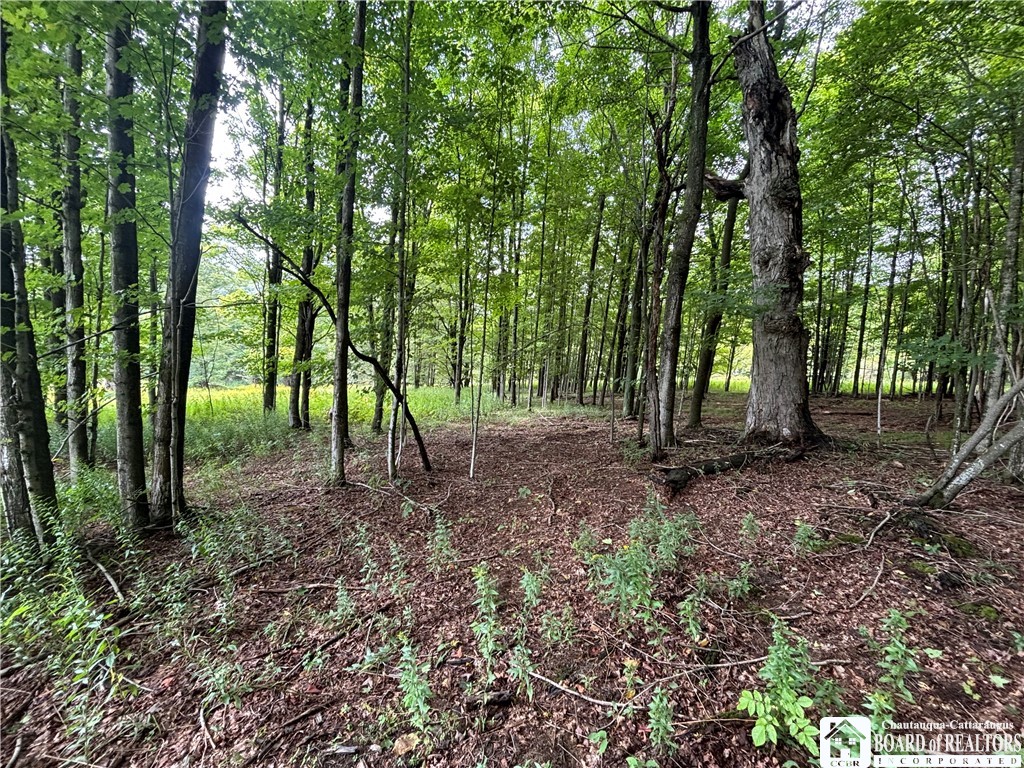 Swain Hill Road Andover, NY 14806 - Photo 16 of 44 Gallery Image 16