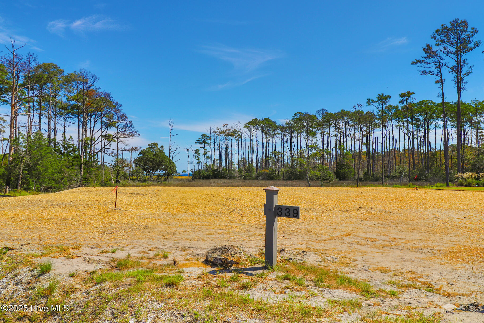 530 Freedom Park Road Beaufort, NC 28516 - Photo 3 of 23 530 Freedom Park Rd