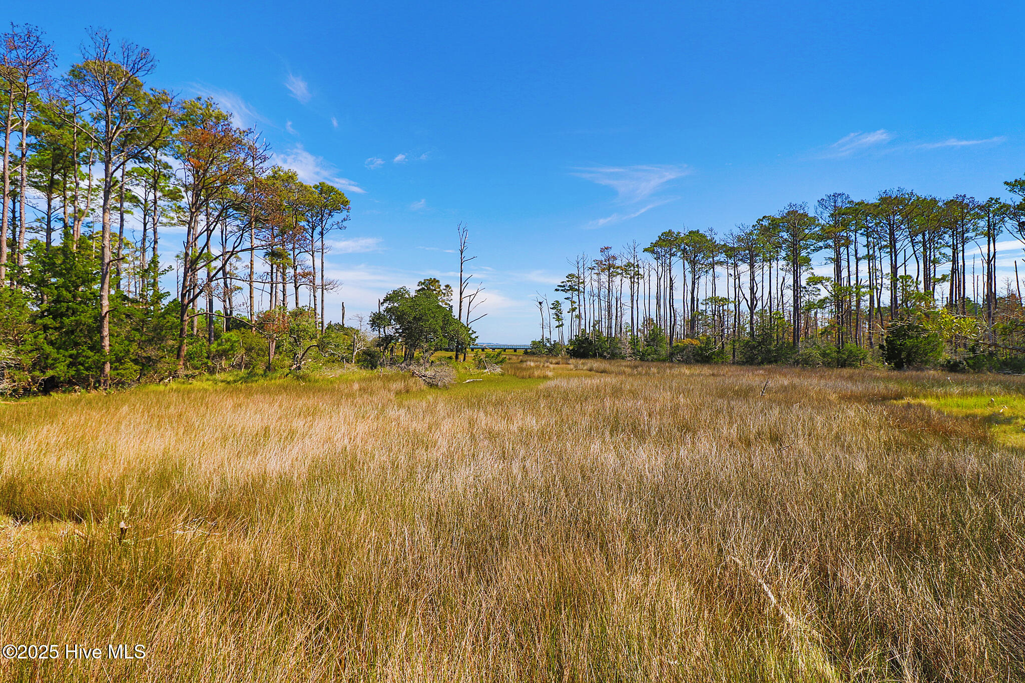 530 Freedom Park Road Beaufort, NC 28516 - Photo 6 of 23 530 Freedom Park Rd