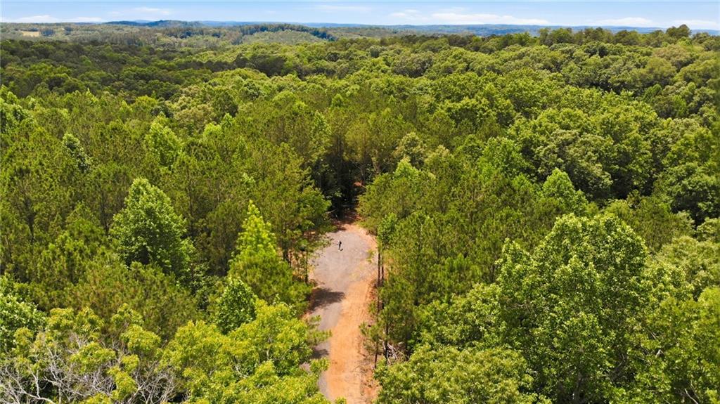 Lot 1 Pete Path Dallas, GA 30157 - Photo 21 of 21