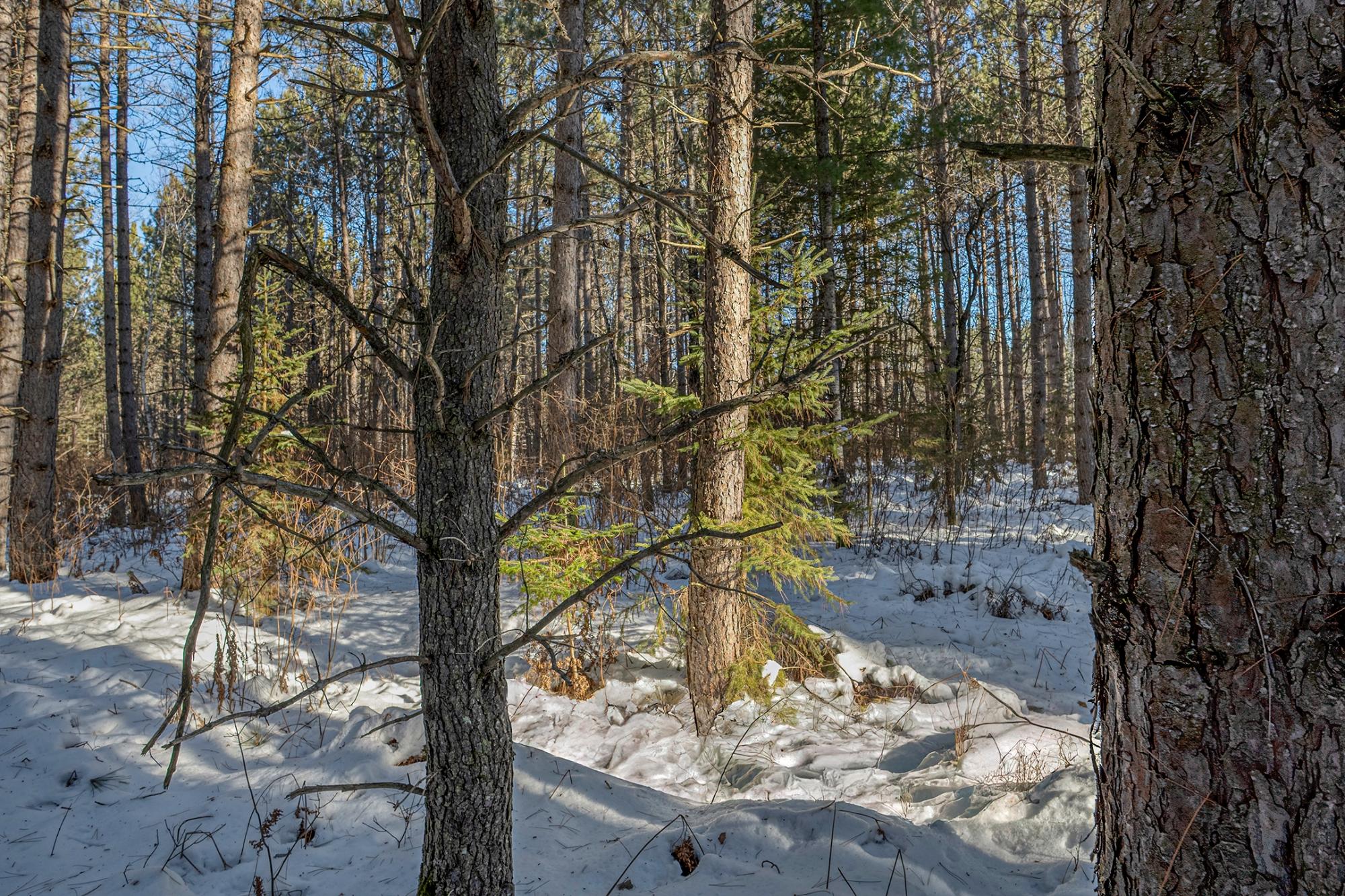 Off Deerskin Road, Unit LOT 5 Eagle River, WI 54521 - Photo 10 of 26 Gallery Image 10