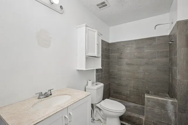 a bathroom with a sink toilet and vanity