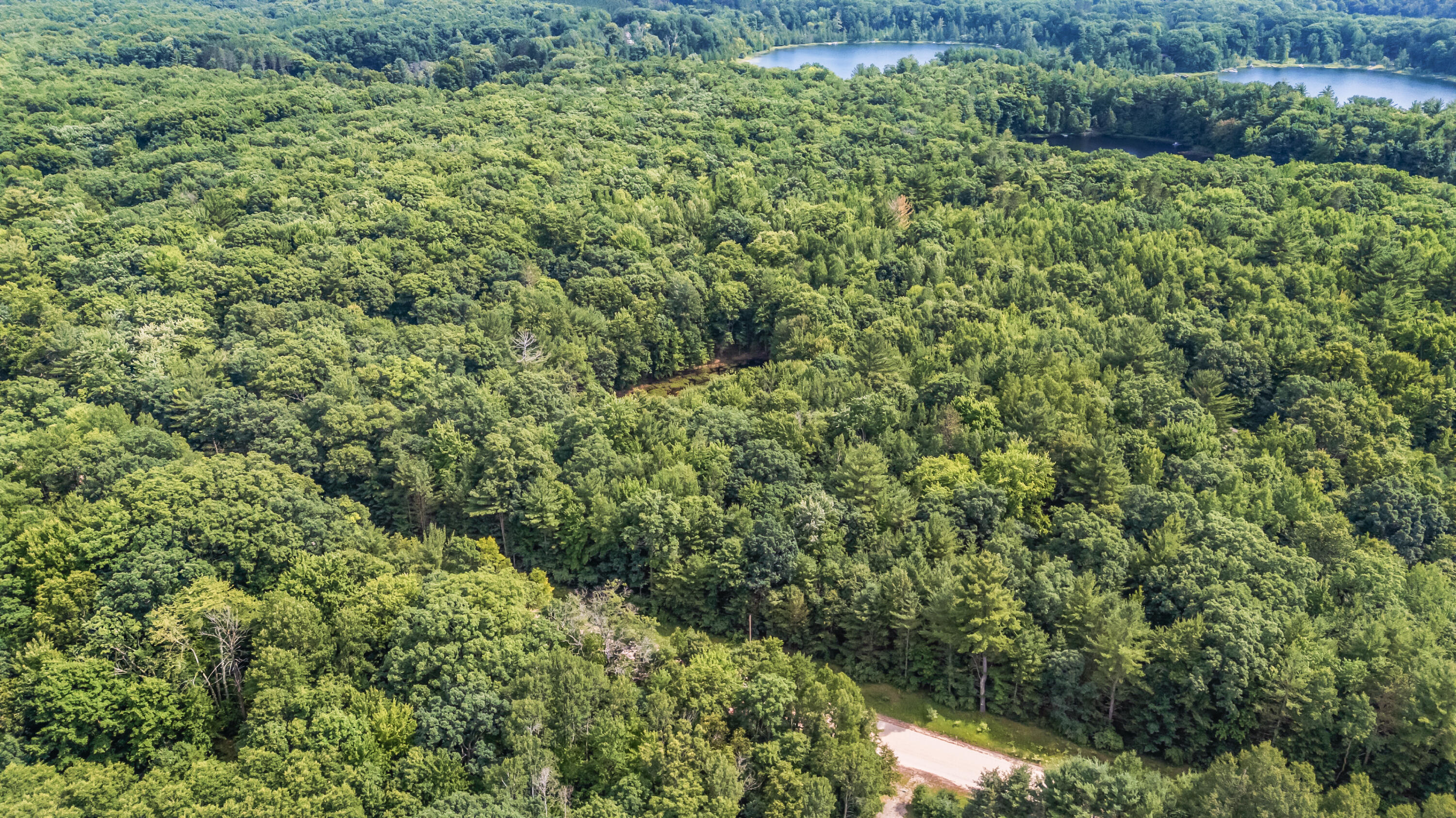 15 West 12 Mile Road Irons, MI 49644 - Photo 30 of 32 Lot15-12MileRd-Irons-25