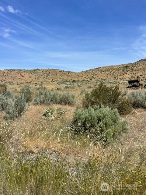 0 Lot 1 Bill Shaw Road Pateros, WA 98846 - Photo 17 of 23