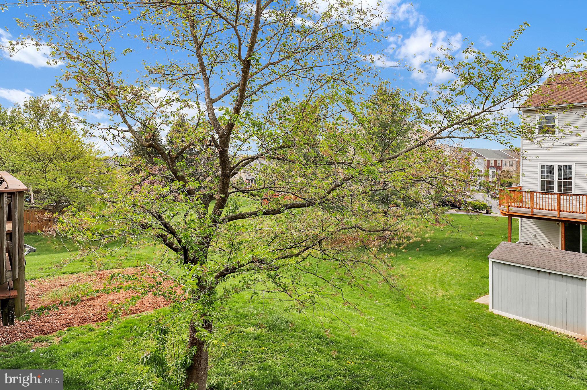 2475 Lakeside Drive Frederick, MD 21702 - Photo 34 of 40 a backyard of a house with table and chairs