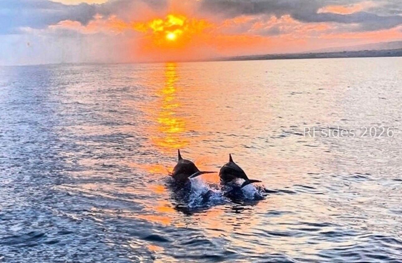 40 Folly Field Road, Unit C229 Hilton Head Island, SC 29928 - Photo 52 of 54