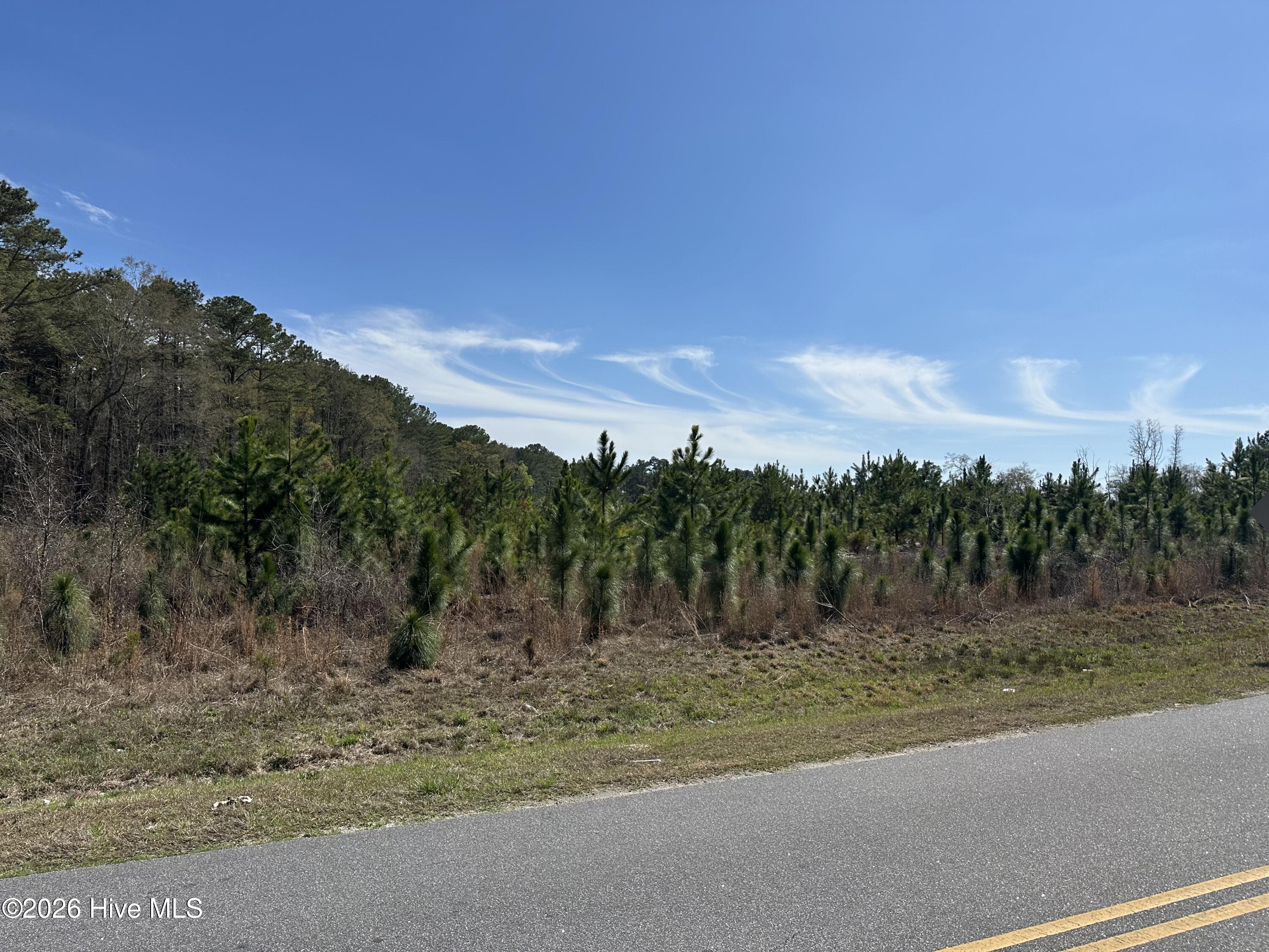 Tbd Old Wire Road Laurel Hill, NC 28351 - Photo 2 of 9 IMG_1943