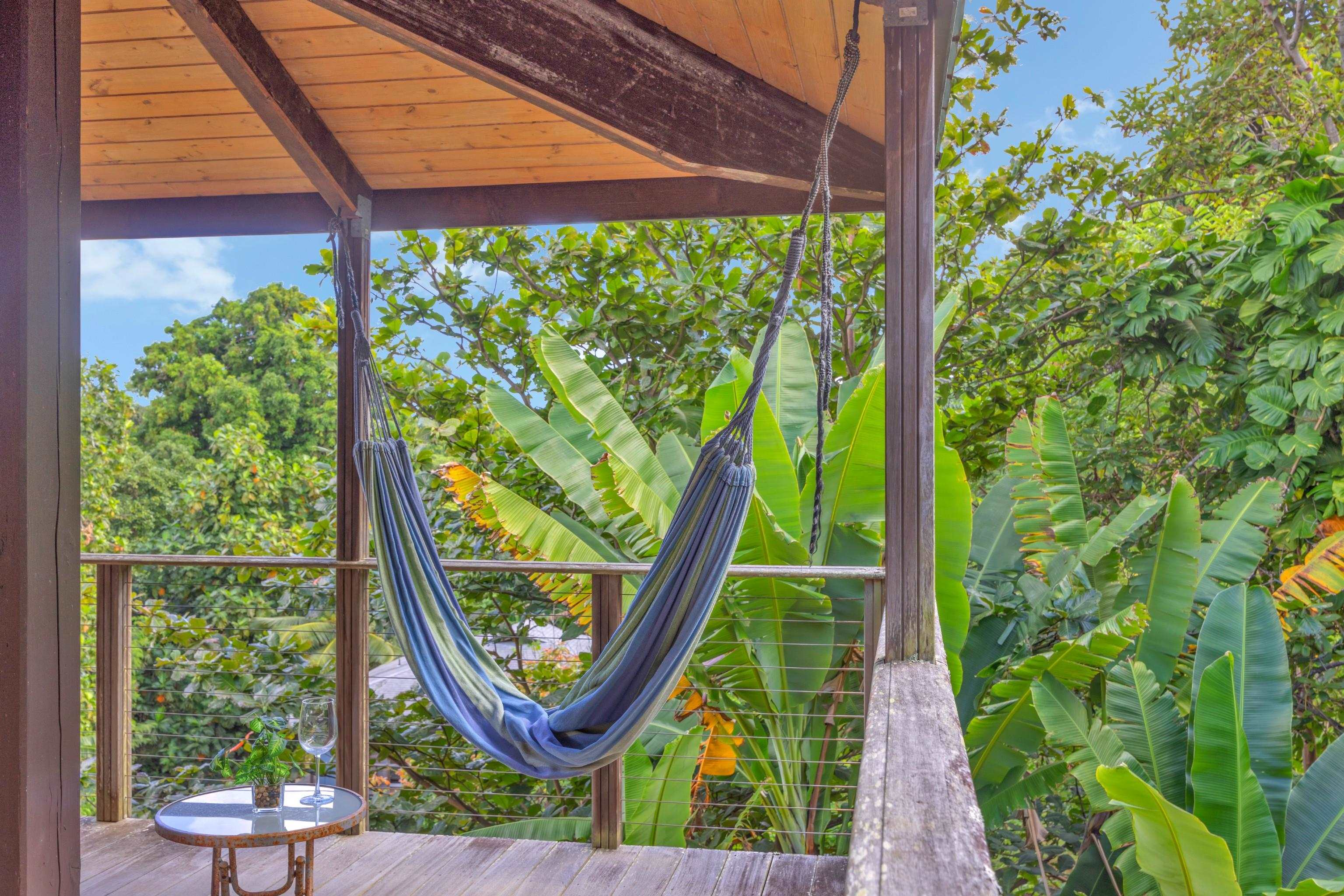4685 Uakea Road Hana, HI 96713 - Photo 5 of 50 a view of swimming pool from a window