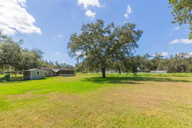 a view of a garden with a tree