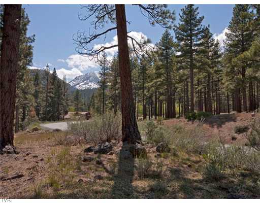 600 Joy Lake Road Reno, NV 89511 - Photo 11 of 13 View.