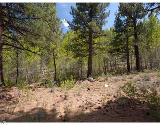 600 Joy Lake Road Reno, NV 89511 - Photo 13 of 13 Land/Lot.