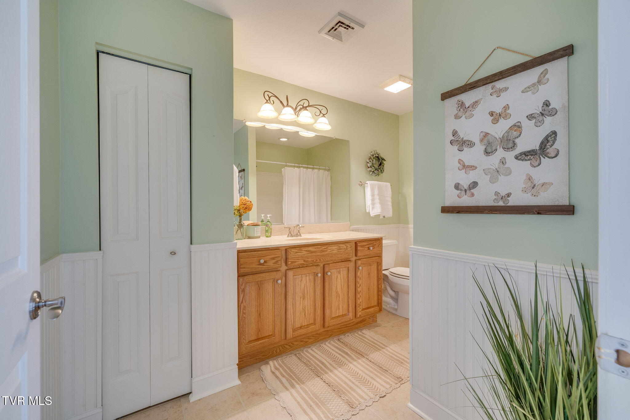 1620 Hatterdale Farm Road, Unit 1620 Blountville, TN 37617 - Photo 26 of 38 Hall Bathroom