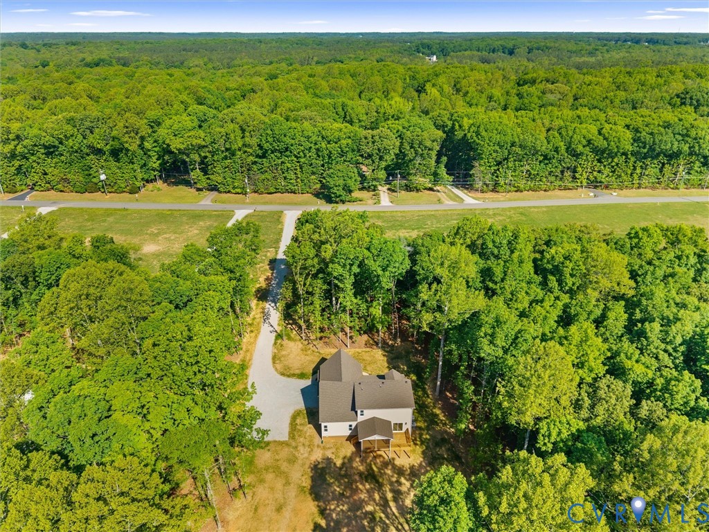 1545 Palmore Road Powhatan, VA 23139 - Photo 3 of 49