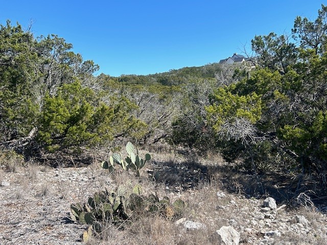 Lot 418 Private Road 1748 Road Mico, TX 78056 - Photo 3 of 16